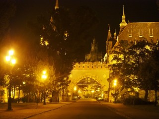 Fototapeta premium OLYMPUS DIGITAL CAMERA