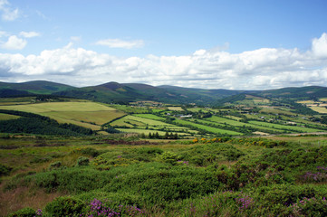Fototapeta na wymiar Landscapes of Ireland. Summer in the Wicklow Mountains.