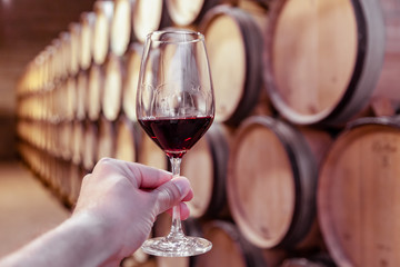 Closeup hand with glass of red wine on background wooden oak barrels stacked in straight rows in order, old cellar of winery, vault. Concept professional degustation, winelovers, sommelier travel