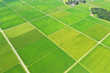 新潟県の田園風景