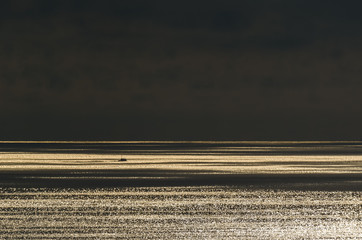 SUNRISE ON TE BAY - Sunny morning on the sea 