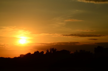 AERIAL: Flight over the wheat field in sunset