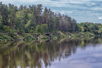 Obraz premium calm plain river among the banks covered with forest