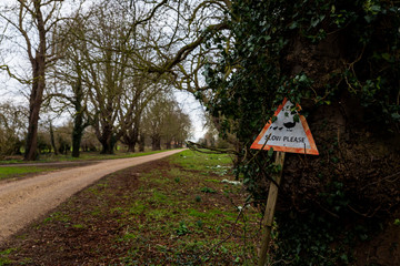 A signpost located in the Suffolk countryside to warn drivers to slow down as ducks and ducklings might be crossing the road