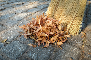 Broom sweeping dry leaves in a heap in the garden