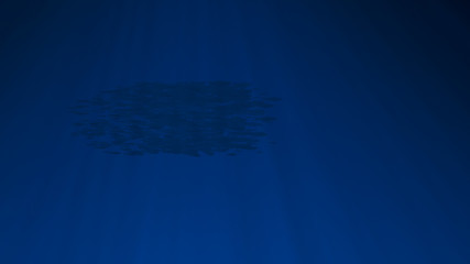 School of fish swims past camera. Silhouettes. Sun shine beams and rays on sea floor underwater