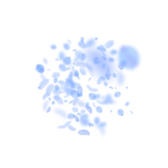 Dark blue flower petals falling down. Cute romanti