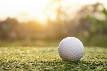 golf ball is on a green lawn in a beautiful golf course