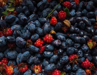 Honeysuckle berries and arctic raspberry with leaves in bowl
