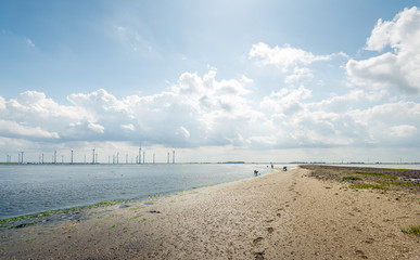 Fototapeta na wymiar Backlit shot of a beach along a pier in the Oosterschelde estuary.