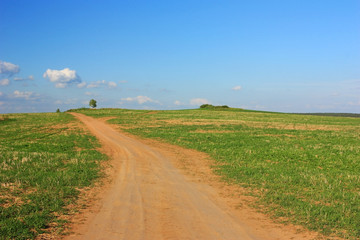 Fototapeta na wymiar Dirt country empty road in a green field