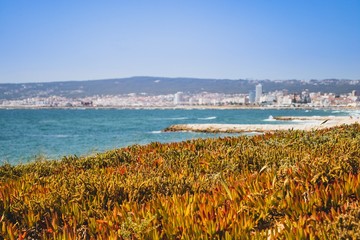 Figueira da foz beach Portugal. Summer day in Europe. Boho style coloured style photo.  Over processed.
