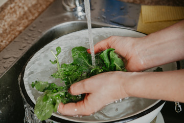 Hands of woman washing green leaves of arugula