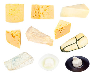 collection of various cheeses isolated