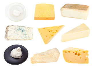 collage from various cheeses isolated on white