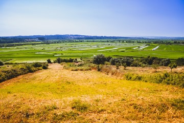 Overview of a rice planting field in Portugal on a summer day. Colourful over processed. 