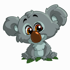 Koala 
