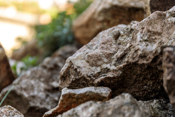 Landscape design, an element of rockery - a beautiful composition of stones and plants