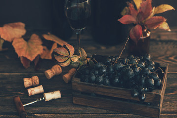 Natural organic black juicy grapes on a dark wooden background. Rustic style country village agriculture concept. Bottle of wine and corkscrew on wooden background. Toned image. Selective focus.