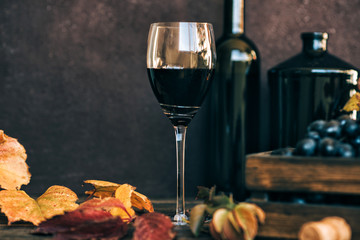 Tasty grapes on vintage background. Ripe blue grape bunch with leaves. Grape harvest Italy. Wineglass and corks on dark background with copy space. Toned image. Selective focus.
