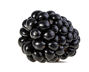 Fresh blackberry isolated on white background with clipping path