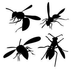vector, isolated, insect, wasp silhouette, bee set