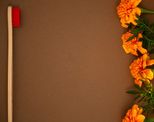 Eco bamboo toothbrush, organic on a brown background, colored bristles, top view, top view. The concept of nature, environment, zero, zero plastic, a place for text.