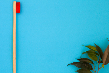 eco bamboo toothbrushes, concept of ecological lifestyle, place for text, wood brush, zero.