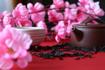 Obraz na płótnie Canvas Chinese tea ceremony with the use of utensils of clay on the background of the cherry blossom.