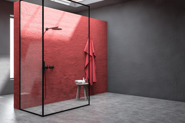 Red and gray bathroom corner with shower