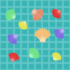 different seashells on water