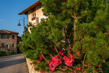 Fototapeta na wymiar Trentino-Alto Adige region of South Tyrol, Italy. Beautiful small Alpine village. Agri tourism. Tourist travel visiting apple region site.