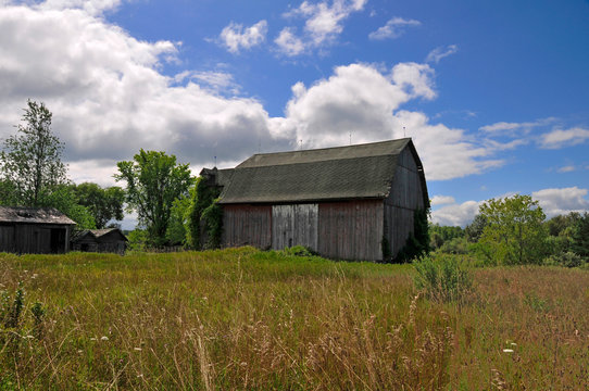 Old Barn with Summer Sky