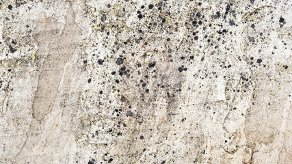 Obraz premium Natural Graphic Patterns in Stones or Rock Slabs