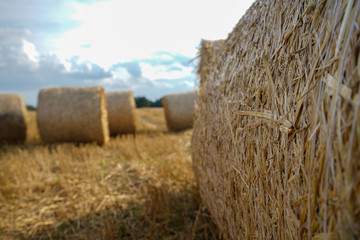 Straw bales © Wojciech