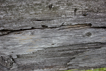 Texture of old wooden planks. August 2019