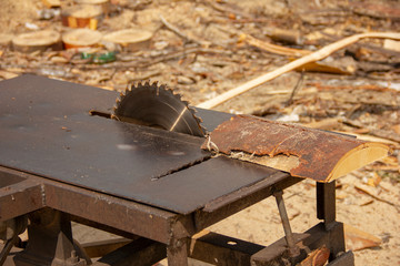 garbage at a sawmill. A circular saw is sawing a wooden piece. tree processing.