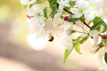 Spring has sprung