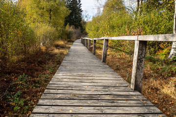 Obraz premium OLYMPUS DIGITAL CAMERA