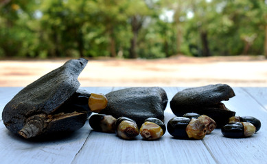 Black rosewood seeds are black and yellow, beautifully decorated on a gray wood pattern table.