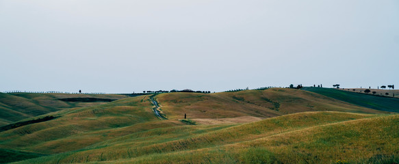 Obraz premium Beautiful dusk landscape. Farm fields on a wave hills. Majestic agricultural field, Tuscany, Italy. Vintage tone filter effect with noise and grain.