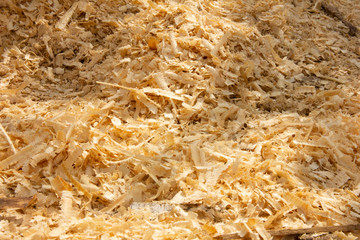 wood shavings at a sawmill. wood waste at a sawmill.