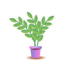 A plant in the pot isolated on the white background. Vector illustration of the plant put into the flowerpot.