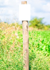 Small empty sign in Dutch landscape