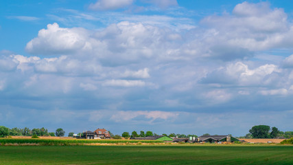 Fototapeta na wymiar Dutch Polder Landscape