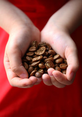 Big coffee beans in the hands of a girl in a red dress