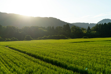Hakusan in Ishikawa, Japan
