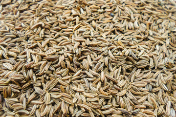 a lot of caraway seeds for background photography.