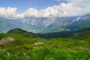 Fototapeta premium Alpine peaks landskape. Lauterbrunnen, Jungfrau, Bernese highland. Alps, tourism, journey, hiking