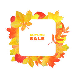 Frame for design with autumn leaves. Autumn sale. 